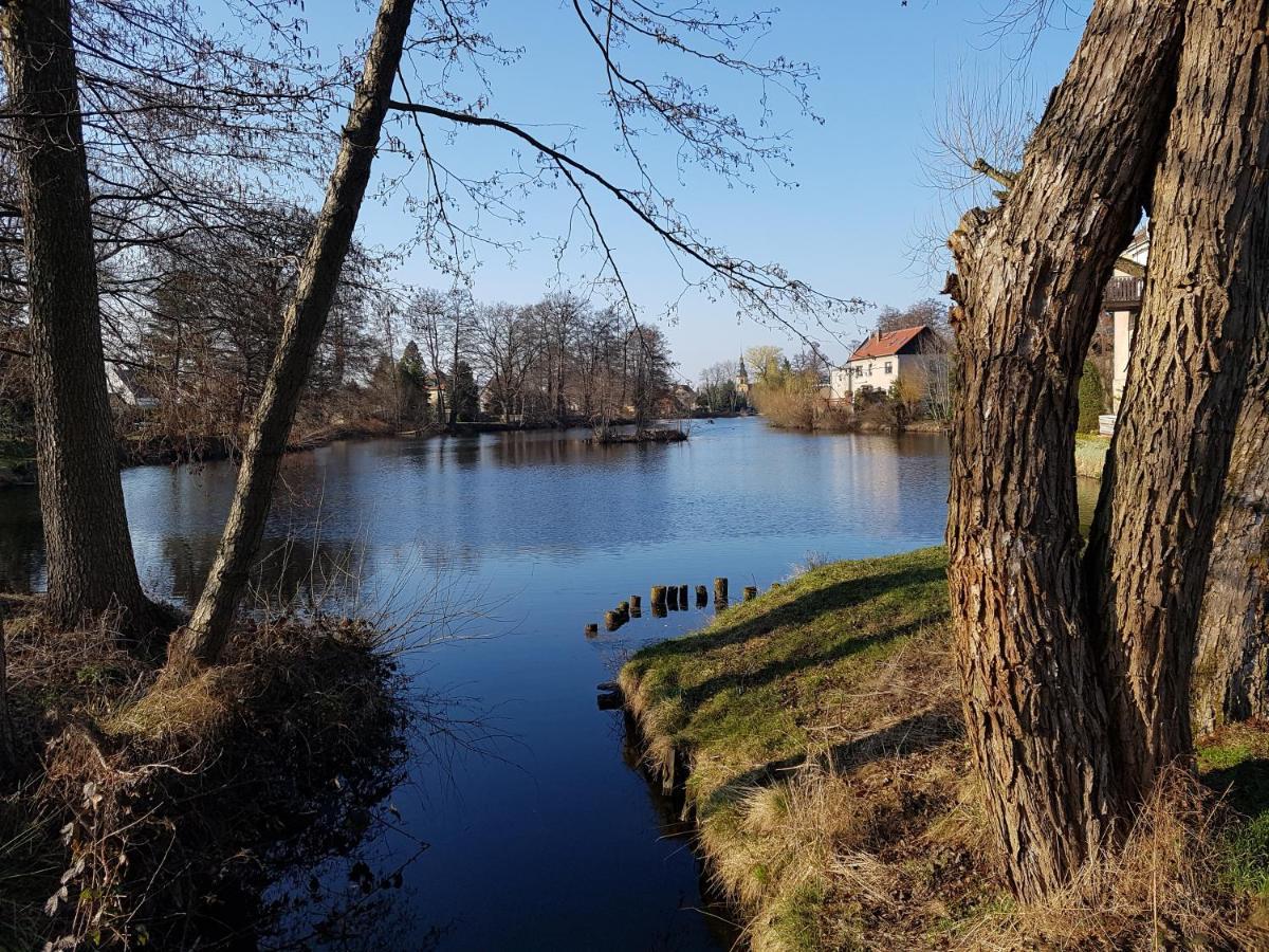 Appartamento Zum Eulennest Dresda Esterno foto